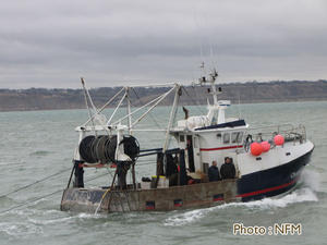 Peche Drague Coquille Normandie 01 bateau 14