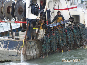 Peche Drague Coquille Normandie 01 bateau 15