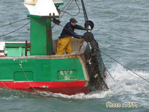 Peche Drague Coquille Normandie 01 bateau 16