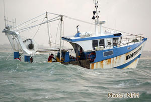 Peche Drague Coquille Normandie 01 bateau 19