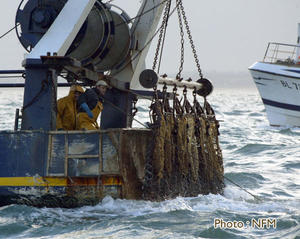 Peche Drague Coquille Normandie 01 bateau 20