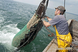 Peche Drague Moule Barfleur 02 virage 03