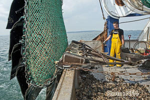 Peche Drague Moule Barfleur 02 virage 05