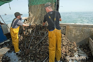 Peche Drague Moule Barfleur 03 affalage 01