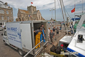 Peche Drague Moule Barfleur 07 debarque 02