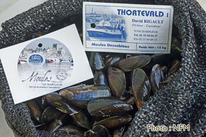 Peche Drague Moule Barfleur 10 commercialisation 03