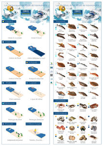 Poster Espèces et Techniques - Pêche Normandie