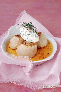 Recette Coquille Saint-Jacques creme corail