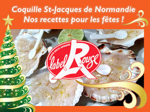 Recettes festives CSJ