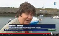 Reportage écolabellisation Homard Cotentin