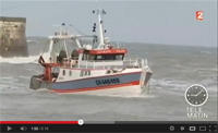 Reportage Coquille Saint-Jacques Port en Bessin