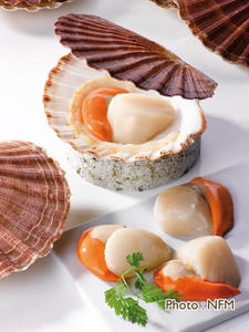 Recette Coquille et noix de Saint-Jacques - composition