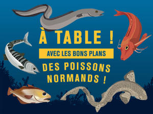 Les bons plans des poissons normands