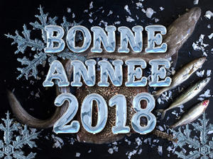 Joyeuse Année 2018